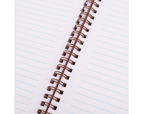 Зошит Yes А5 Line Friends. Sally пластикова обкладинка 80 аркушів, лінія (765736)