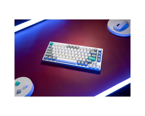 Клавіатура Lemokey P1 Pro Super Red RGB Wireless/Bluetooth/USB Space Silver (P1P-X1-UA)