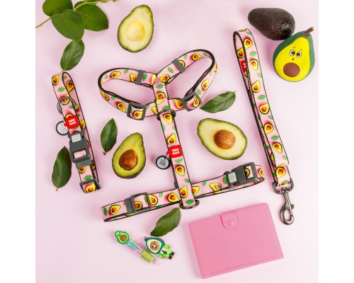 Нашийник для тварин WAUDOG Nylon з QR адресником 