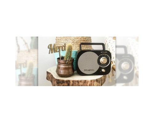 Акустична система Muse M-055 RB Wireless Black (M-055 RB)