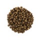 Сухий корм для кішок Brit Care Cat GF Kitten HGrowth and Development 7 кг (8595602540662)