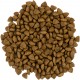 Сухий корм для кішок Savory Adult Cat Sensitive Digestion Fresh Lamb and Turkey 8 кг (4820232630099)