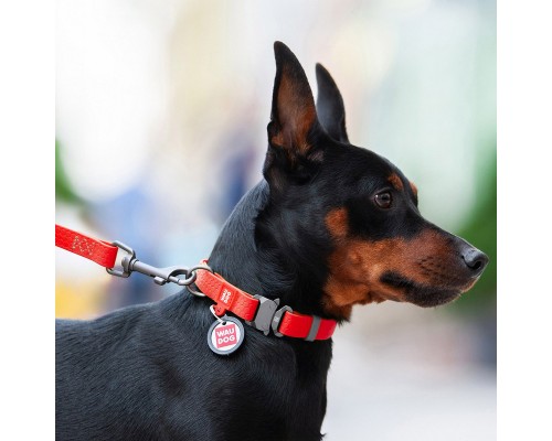 Нашийник для тварин WAUDOG Waterproof з QR паспортом XL Ш 25 мм Д 35-58 см(червоний) (27843)