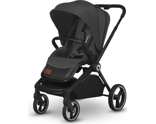 Коляска Lionelo 2 в 1 Mika Grey Graphite (LO-MIKA 2IN1 GREY GRAPHITE)