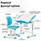 Парта зі стільцем Evo-kids Blue (Evo-06 Ergo BL)