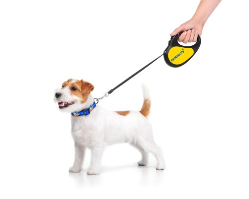 Повідець для собак WAUDOG R-leash 