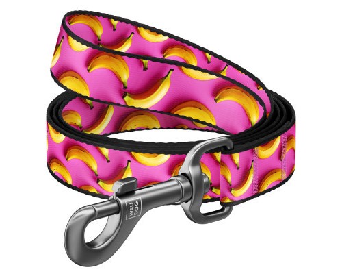 Повідок для собак WAUDOG Nylon 