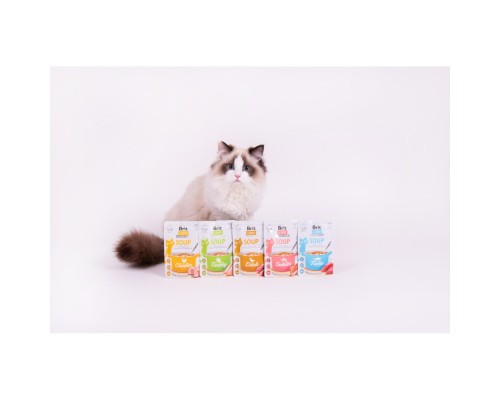 Вологий корм для кішок Brit Care Soup Turkey суп з індичкою 75 г (8595602569199)