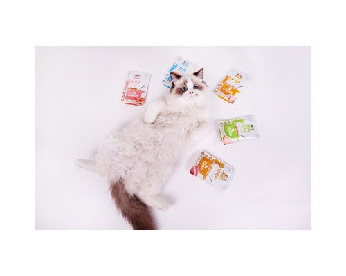 Вологий корм для кішок Brit Care Soup Turkey суп з індичкою 75 г (8595602569199)