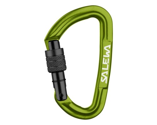 Карабін туристичний Salewa Hot G3 Screw 1724 5810 - UNI - зелений (013.003.1323)