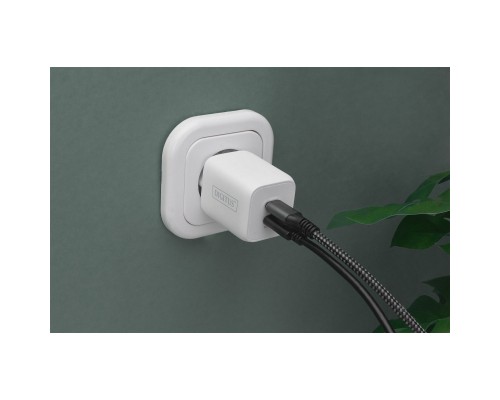 Зарядний пристрій Digitus 2xUSB-C PD65W GaN (DA-10063)