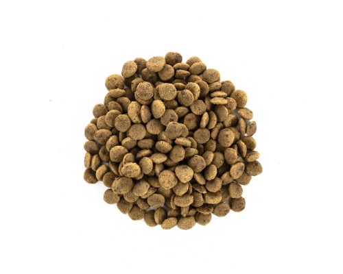Сухий корм для кішок Brit Care Cat GF Large cats Power and Vitality 400 г (8595602540921)