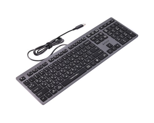 Клавіатура A4Tech FX-50 USB Grey