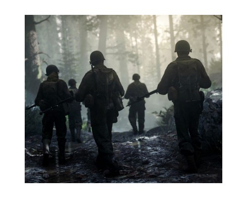 Гра Sony Call of Duty WWII [PS4] (1101406)