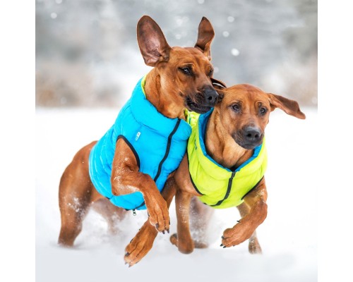 Курточка для тварин Airy Vest двостороння XS 25 салатово-блакитна (1597)