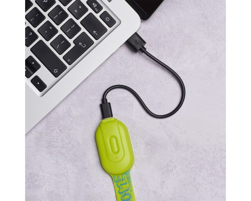 Закладки для книг Flexilight ліхтарик Rechargeable - Модний зелений (FLRAW)