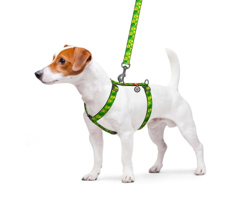 Шлея для собак WAUDOG Nylon з QR паспортом анатомічна H-подібна 