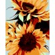 Картина по номерам ZiBi Стиглі соняхи 40*50 см ART Line (ZB.64144)