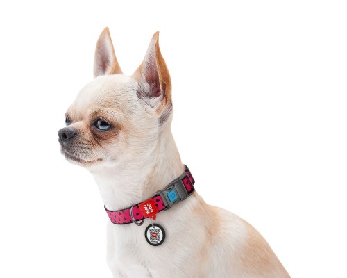 Нашийник для тварин WAUDOG Nylon 