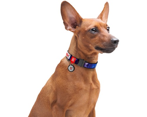 Нашийник для тварин WAUDOG Nylon з QR паспортом 