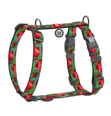 Шлея для собак WAUDOG Nylon анатомічна H-подібна з QR-паспортом 