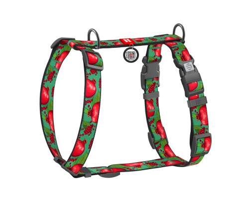 Шлея для собак WAUDOG Nylon анатомічна H-подібна з QR-паспортом 