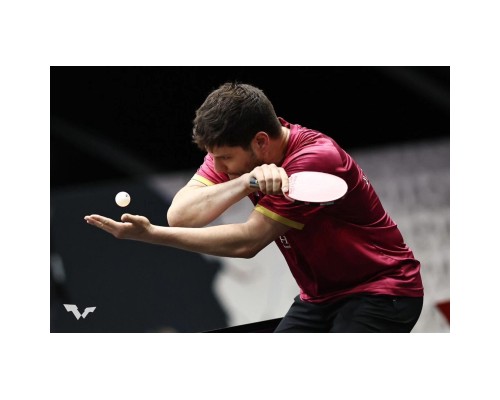 Ракетка для настільного тенісу Butterfly Ovtcharov Prime Carbon FL (6116500002) (931823)