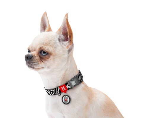 Нашийник для тварин WAUDOG Nylon з QR адресником 