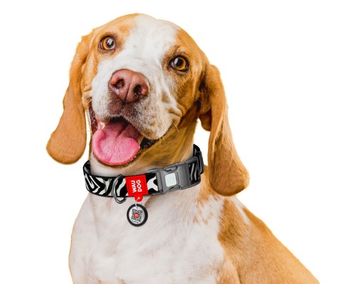Нашийник для тварин WAUDOG Nylon з QR адресником 