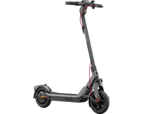 Електросамокат Segway E3 PRO E сірий (AA.05.19.02.0003)