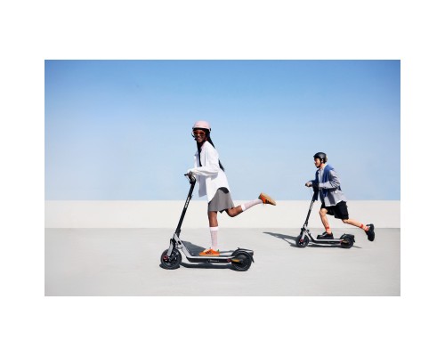 Електросамокат Segway E3 PRO E сірий (AA.05.19.02.0003)