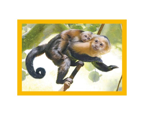 Пазл Clementoni 4 в 1 Baby Cuddles, 12,16,20 та 24 елементи (21532)