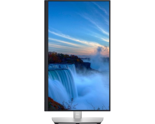 Монітор Dell P2422H (210-AZYX)