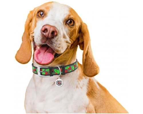 Нашийник для тварин WAUDOG Design з QR паспортом 