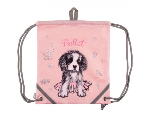 Шкільний набір Yes H-100_Collection Doggy Ballet (559791)
