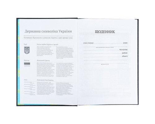 Щоденник шкільний Kite Cyber, тверда обкладинка (K25-262-4)