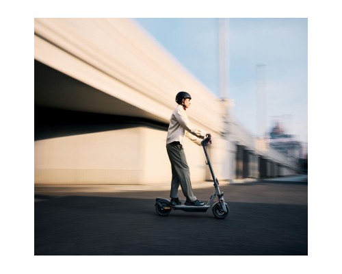 Електросамокат Segway F3 E сірий (AA.05.17.01.0005)