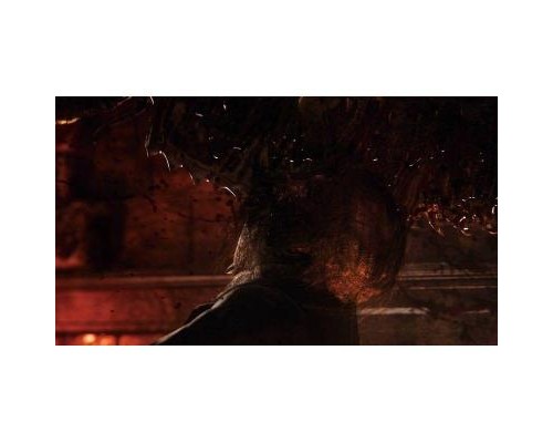 Гра Sony Bloodborne [PS4, Russian subtitles] Blu-ray диск (9701194)