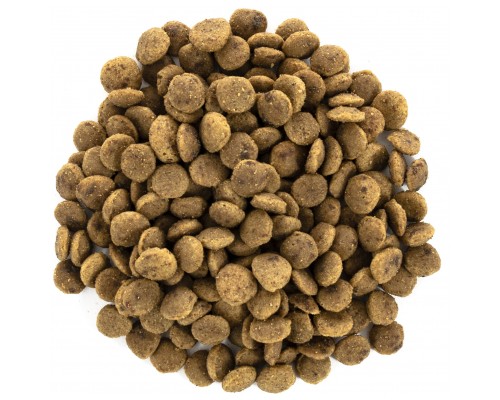 Сухий корм для кішок Brit Care Cat GF Large cats Power and Vitality 7 кг (8595602540907)