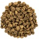 Сухий корм для кішок Brit Care Cat GF Large cats Power and Vitality 7 кг (8595602540907)