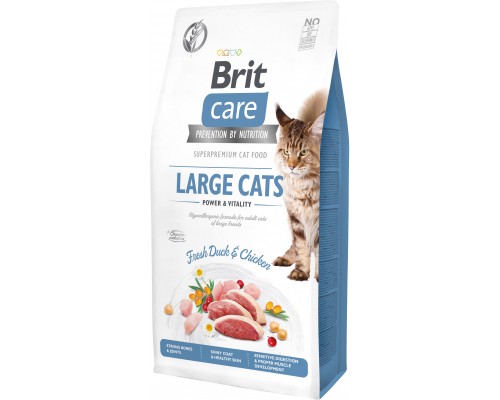 Сухий корм для кішок Brit Care Cat GF Large cats Power and Vitality 7 кг (8595602540907)