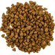 Сухий корм для кішок Savory Adult Cat Steril Fresh Lamb and Chicken 8 кг (4820232630129)