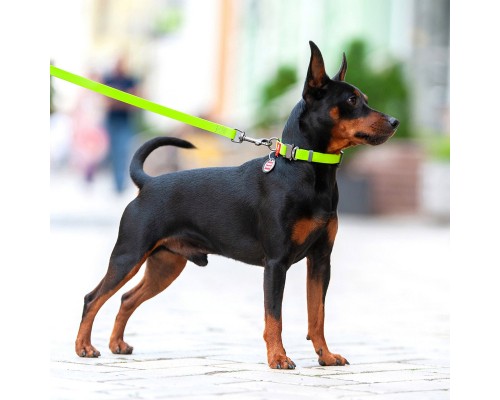 Нашийник для тварин WAUDOG Waterproof з QR паспортом XL Ш 25 мм Д 35-58 см(салатовий) (27845)