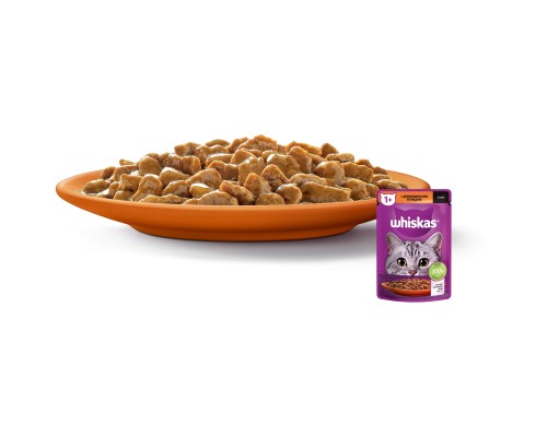 Вологий корм для кішок Whiskas Домашній птах у соусі 85 г (5900951302015)