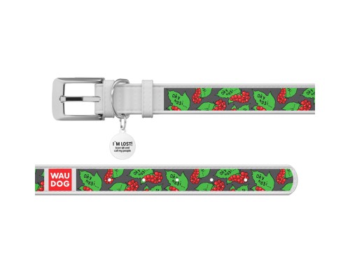 Нашийник для тварин WAUDOG Design з QR паспортом 
