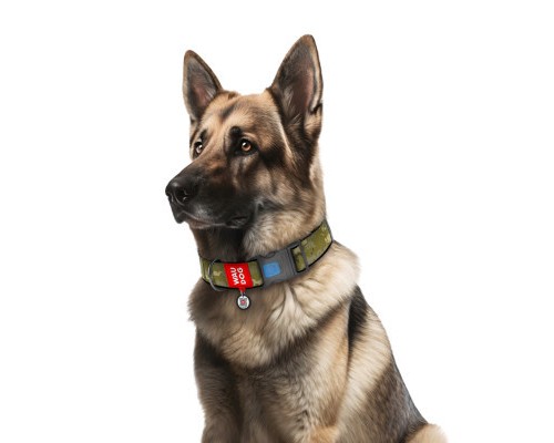 Нашийник для тварин WAUDOG Nylon з QR паспортом 