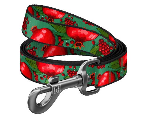 Повідок для собак WAUDOG Nylon 
