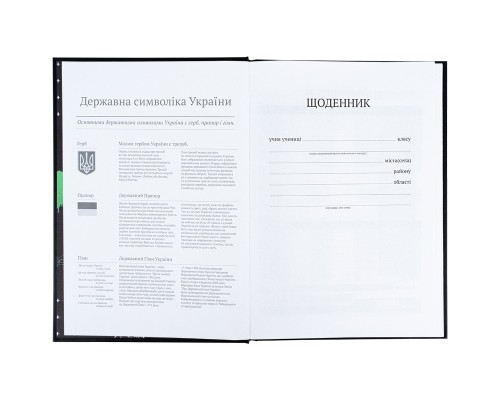 Щоденник шкільний Kite CyberRink, тверда обкладинка (K25-262-9)