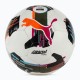 М'яч футбольний Puma Orbita 4 HYB (FIFA Basic) 084326-01 білий, чорний, болотний 5 (4067981499212)