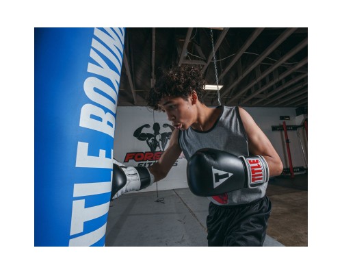 Боксерські рукавички Title Classic Pro Style 3.0 Black/White 12 oz (CVVTG3 12 BK/WH)